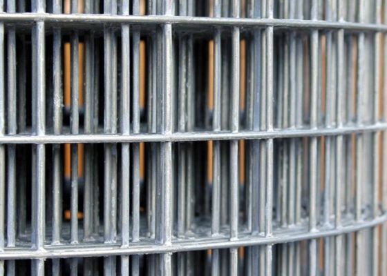 50X50 직류 전기로 자극된 용접철망은 6 피트 쇠그물 울타리 명부 내마모를 회전시킵니다