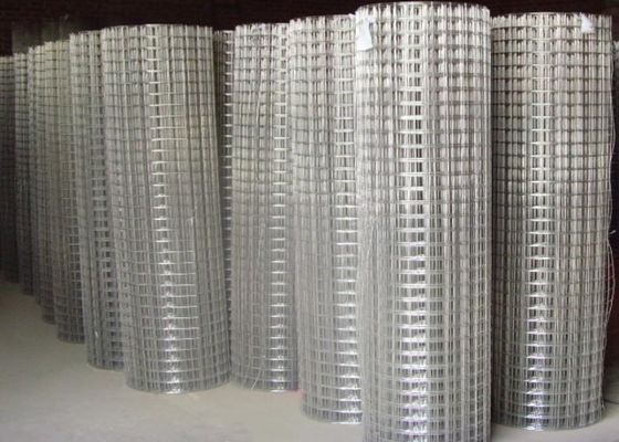 15m 20m 30m 스테인리스 스틸 용접 와이어 메쉬 가금류 케이지 또는 울타리로 사용됨